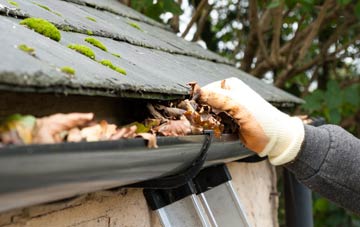 gutter cleaning Lyne Down, Herefordshire