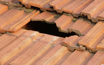 roof repair Lyne Down, Herefordshire